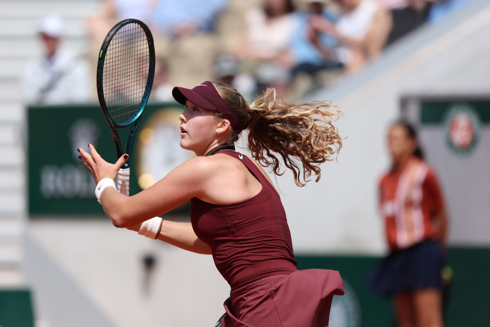 羽毛球精英 羽毛球精英